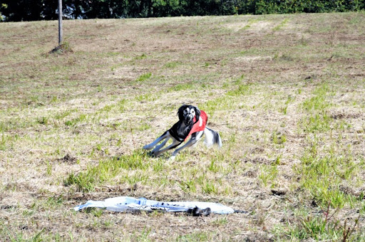 Simbi%20coursing%201.jpg