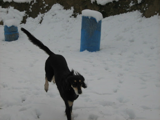IMG_2476.JPG