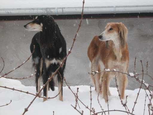 IMG_3298.JPG