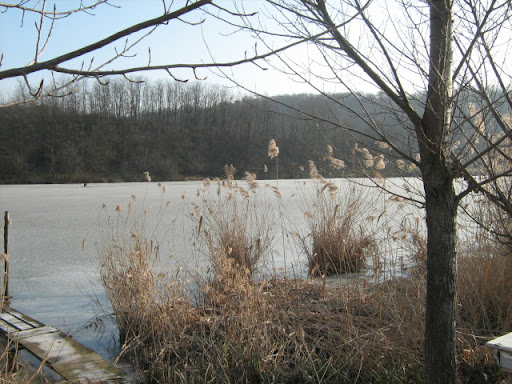 IMG_3499.JPG