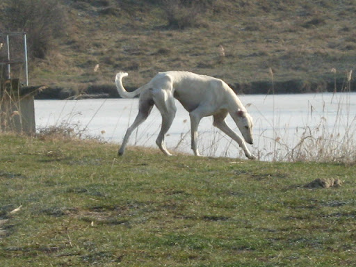 IMG_3521.JPG