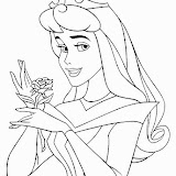 aurora rosa.gif.jpg