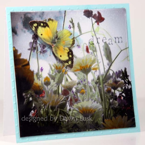 [TLC224 Dream Flowers and Butterflies[5].jpg]