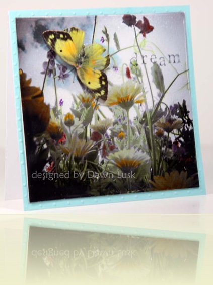 TLC224 Dream Flowers and Butterflies