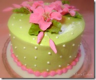 PINK AND GREEN CAKE