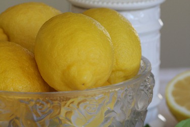 [lemon15.jpg]