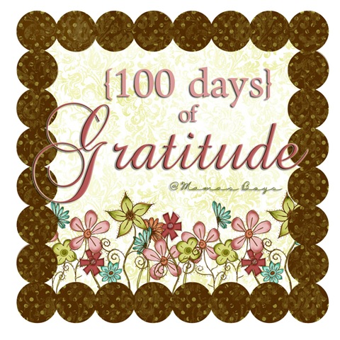 [100 days of gratitude tag.jpg]