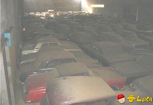 [a-dusty-rare-car-collection-2-2[2].jpg]