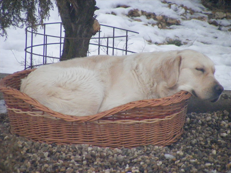 DSCF2203.JPG