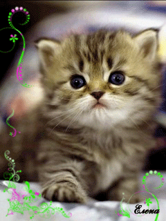 0130.gif