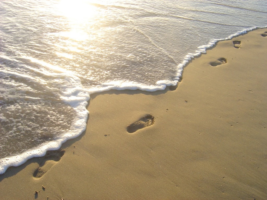 [Footprints[5].jpg]