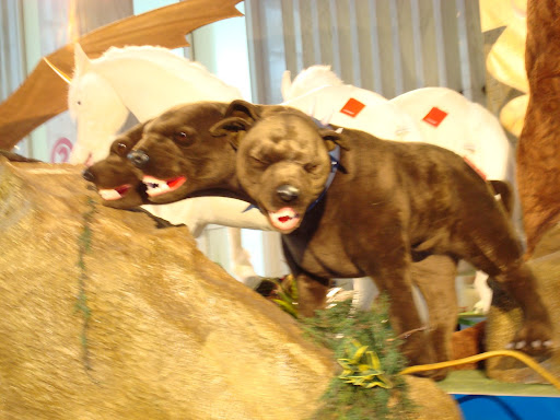 harry potter 3 headed dog