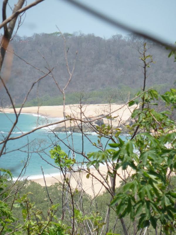 P1020263.JPG