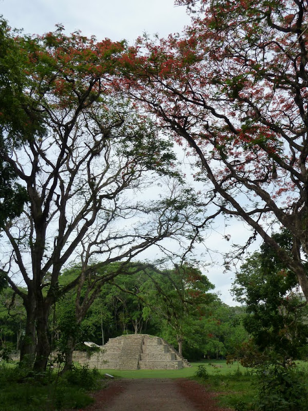 P1020755.JPG