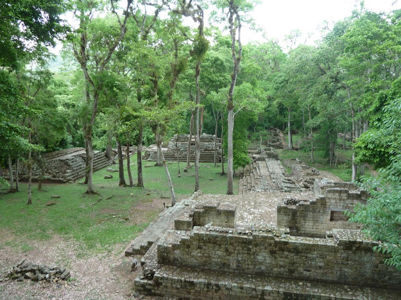 P1020813.JPG