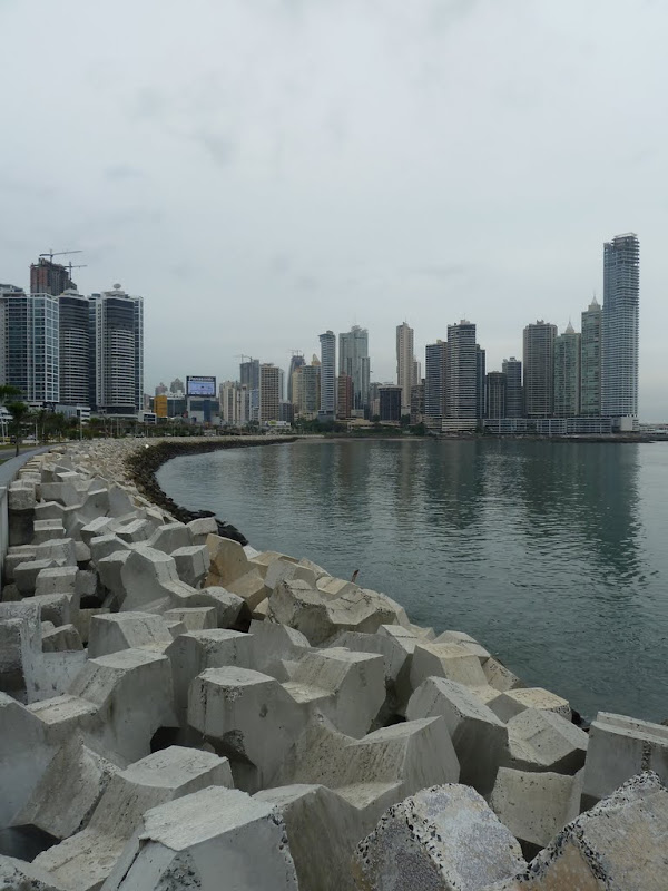 P1030208.JPG
