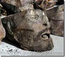 2006-3-29-060329gansu08