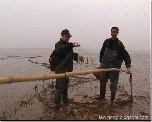 U2117P1T1D17439884F1395DT20090319125015