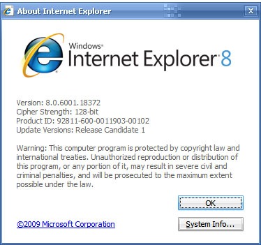 [Internet Explorer 8 RC1[3].jpg]
