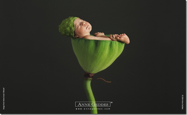 IMAGENES CELESTIALES: Fondos de Pantalla–Bebes de Anne Geddes IMAGENES CELESTIALES: Fondos de Pantalla–Bebes de Anne Geddes