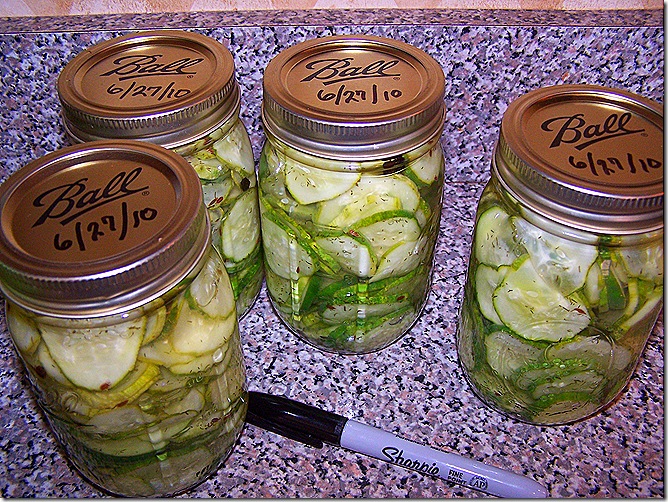 Pickles 064