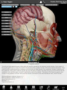 Human Anatomy Atlas Org.