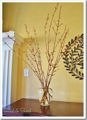Branches in Vase