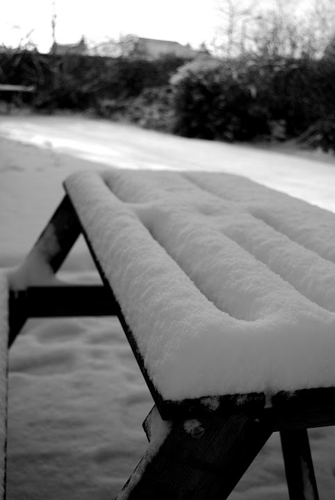 DSC_0102.JPG