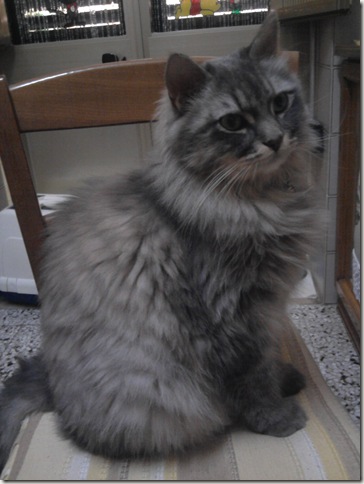 Romeo