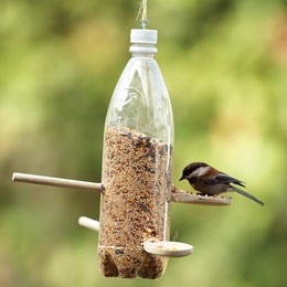 [backyard-bird-feeder-spring-craft-ph[2].jpg]