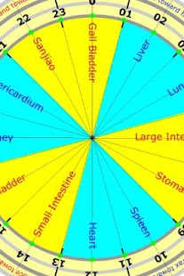 Acupuncture Qi Flow Cycle Lite