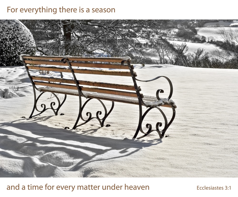 [bench at st oswalds in snow bw for everything there is a season copy[5].jpg]