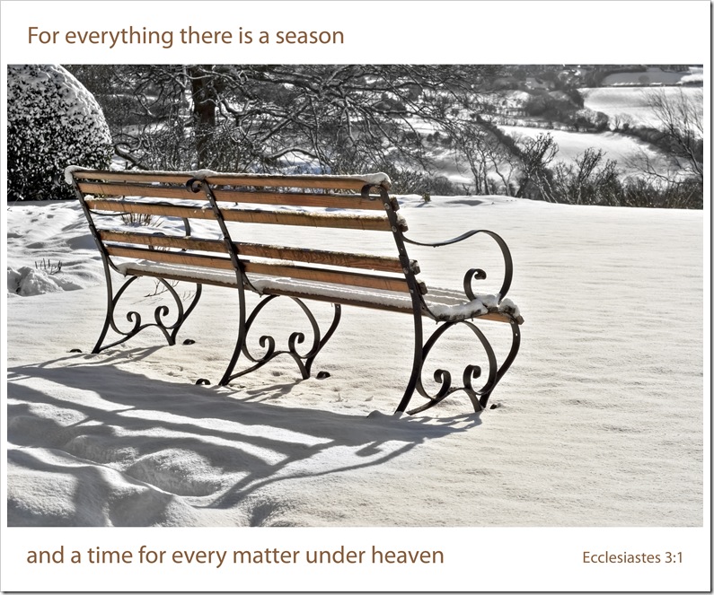 bench at st oswalds in snow bw for everything there is a season copy