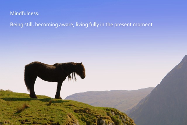 [mindfulness is being still, becoming aware, living fully in the present moment[3].jpg]