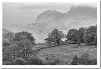 view from little langdale tarn to the langdale pikes in monochrome