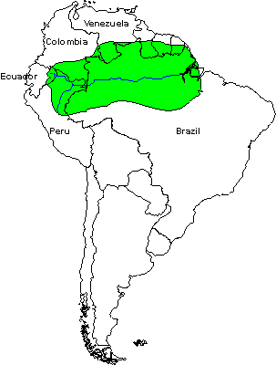 Map Of The Amazon Rainforest Maping Resources