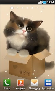 Cat in the Box Lite