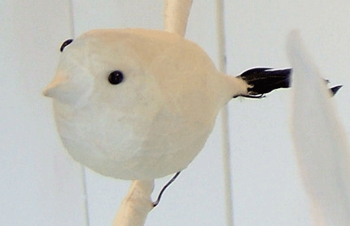 hvit-fugl