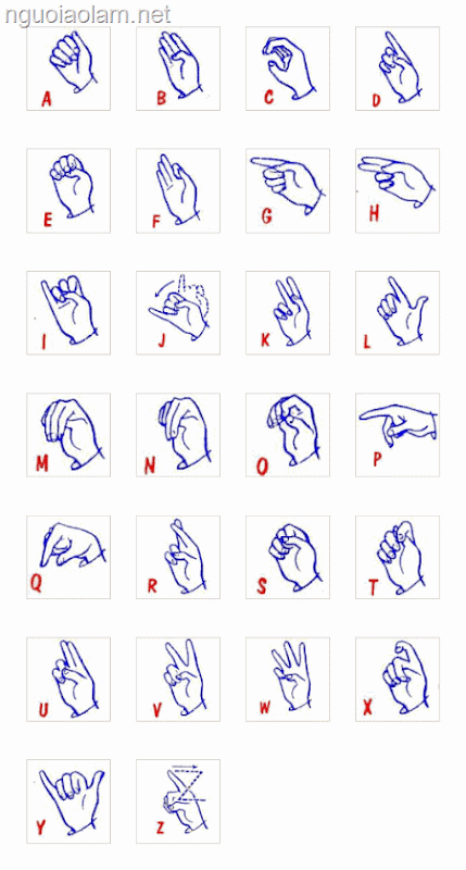 Ngôn Ngữ Ký Hiệu Đam: Hành Trình Giao Tiếp Không Giới Hạn