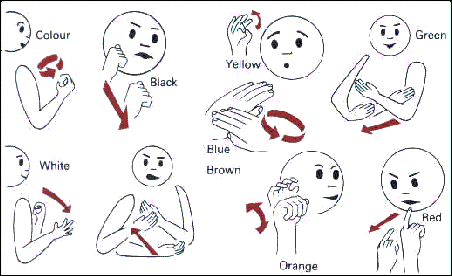 Ngôn Ngữ Ký Hiệu Đam: Hành Trình Giao Tiếp Không Giới Hạn