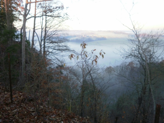 [indian ridge fog 018[2].jpg]
