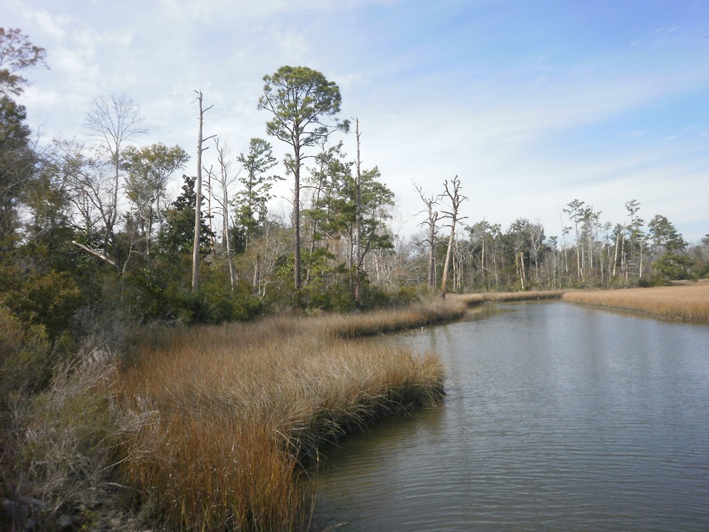 [Picnic in Oceans Springs, MS 037[3].jpg]