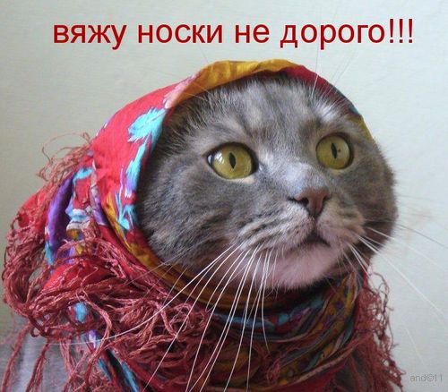 http://lh3.ggpht.com/_UTri2IteCmU/TS3Jge5QCEI/AAAAAAAAATY/bAOtNPDDmJ8/jumor09.jpg