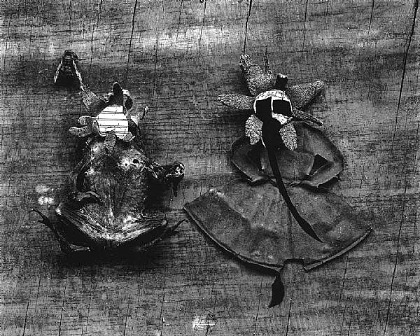 Frederick Sommer 