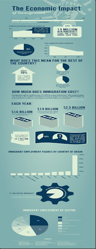 mint-immigration-infographic