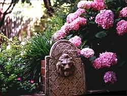 Fountain and Hydrangea