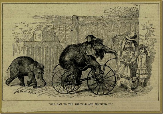 elephant_tricycle