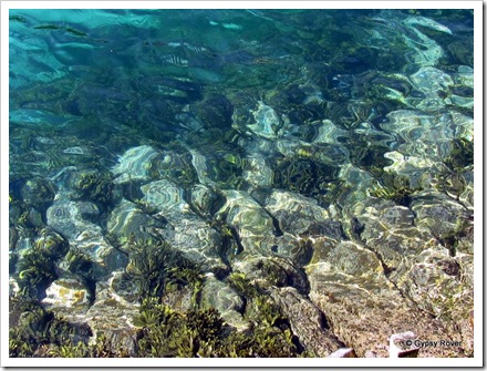Englands beaches have never been cleaner. Crystal clear water.