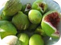fico - fichi fico - fichi