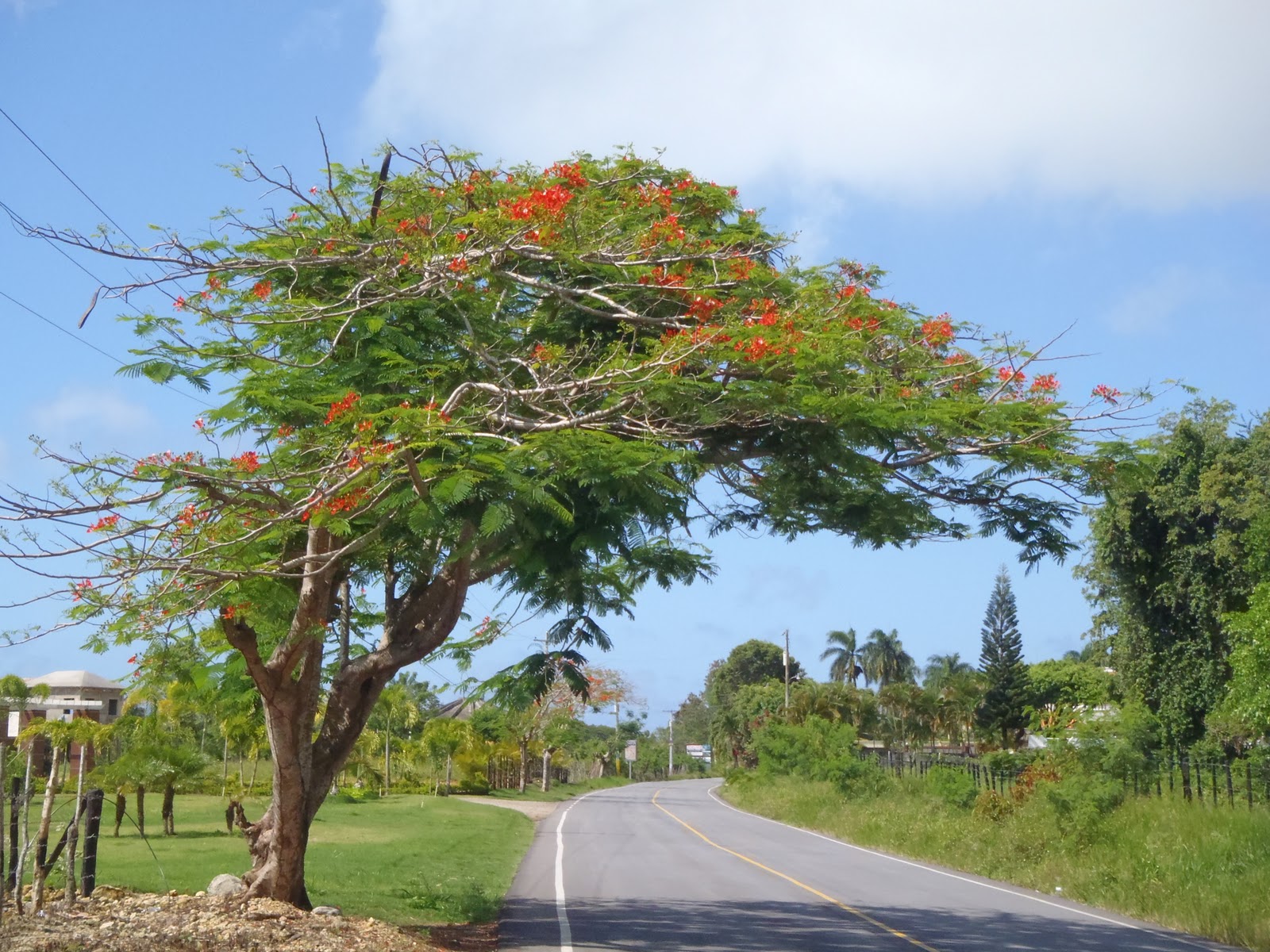 Informations Générales La République Dominicaine Et Ses